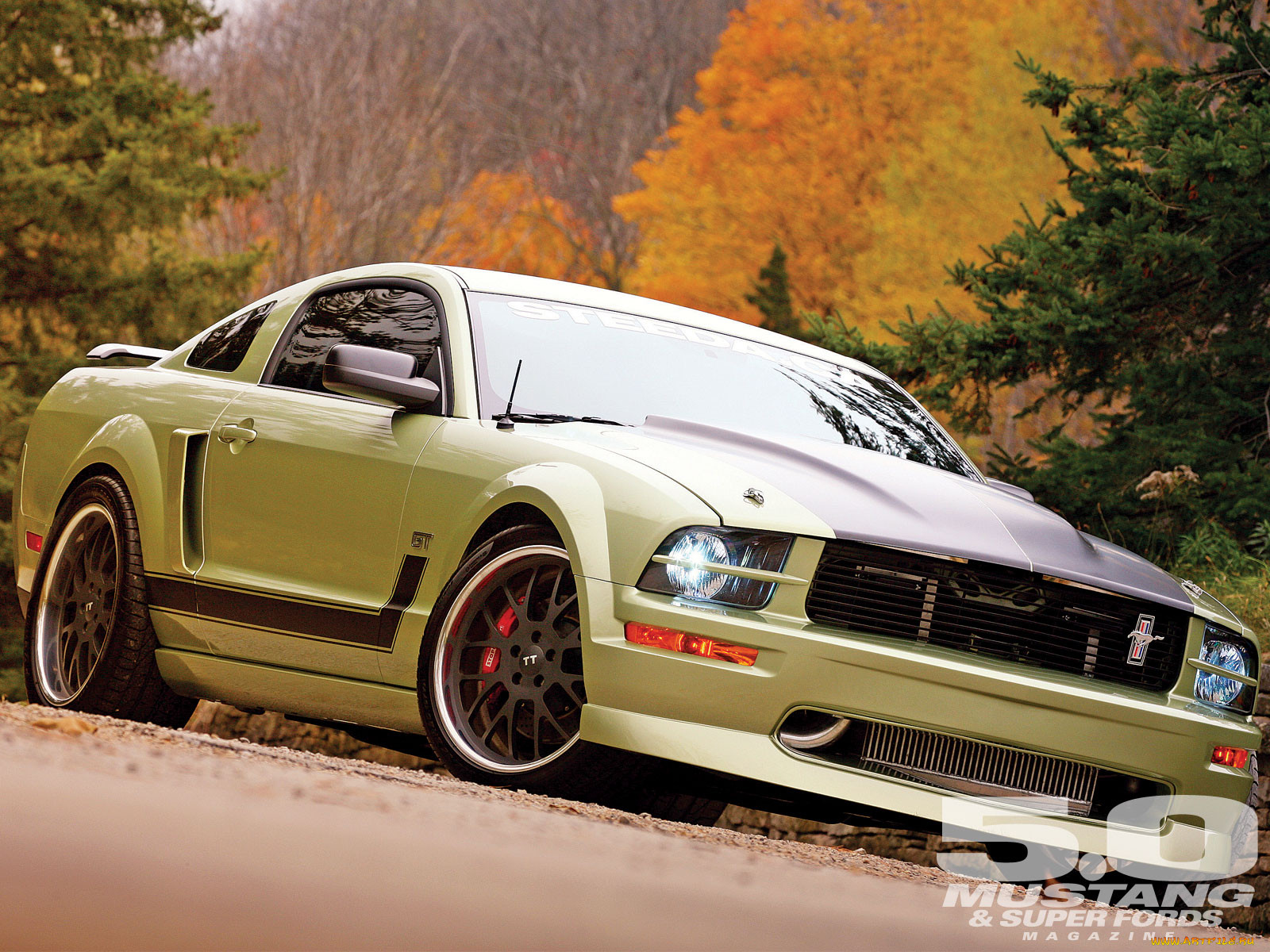 , mustang